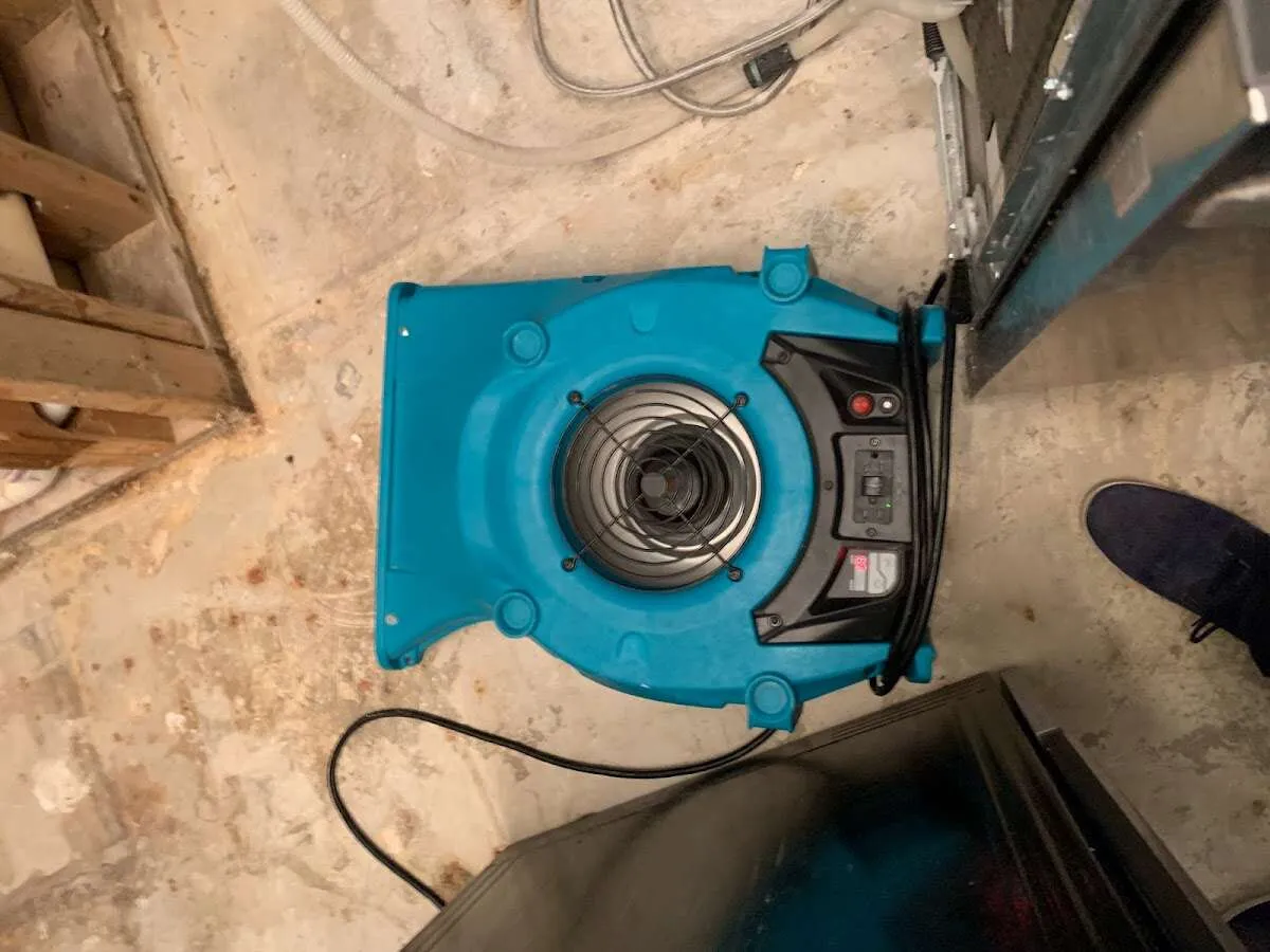 Air mover drying equipment for Mold Remediation & Removal in Middletown
